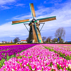 Guía viaje Holanda